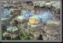 image0016.jpg