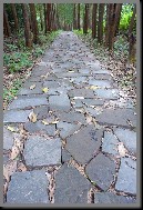 image0018.jpg