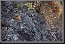 image0030.jpg