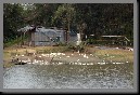 image0021.jpg