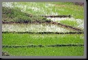 image0023.jpg