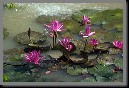 image0001.jpg