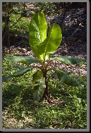 image0024.jpg