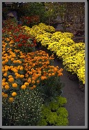 image0038.jpg