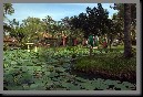 image0083.jpg