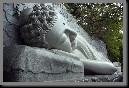 image0005.jpg