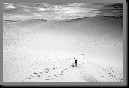 image0007.jpg
