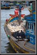 image0030.jpg