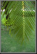 image0059.jpg