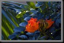 image0068.jpg