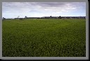 image0075.jpg