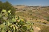 Agrigento