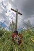 Ostrówki – wyludniona wieś na Ukrainie, w obwodzie wołyńskim, w rejonie lubomelskim