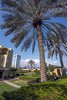 Hilton Fujairah Resort 
