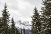 Mayrhofen - Zillertal - Eggalm