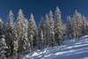 Zillertal Arena