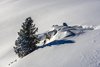 Zillertal Arena