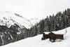Mayrhofen - Zillertal - Eggalm
