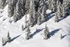 Zillertal Arena