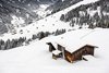 Mayrhofen - Zillertal - Eggalm