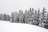 Mayrhofen - Zillertal